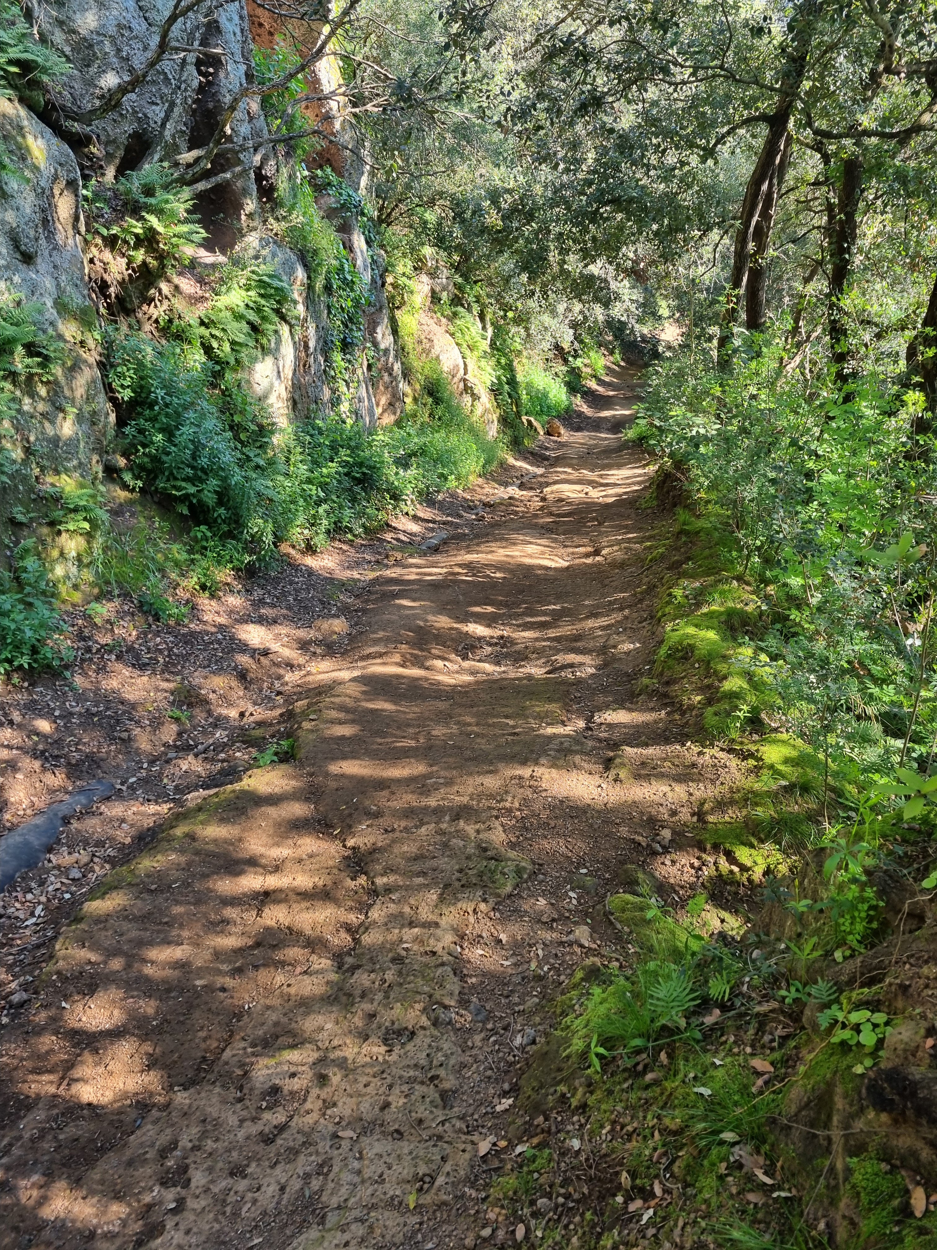 Trekking alle Cascate di Cerveteri: L’Anima Selvaggia dell’Etruria