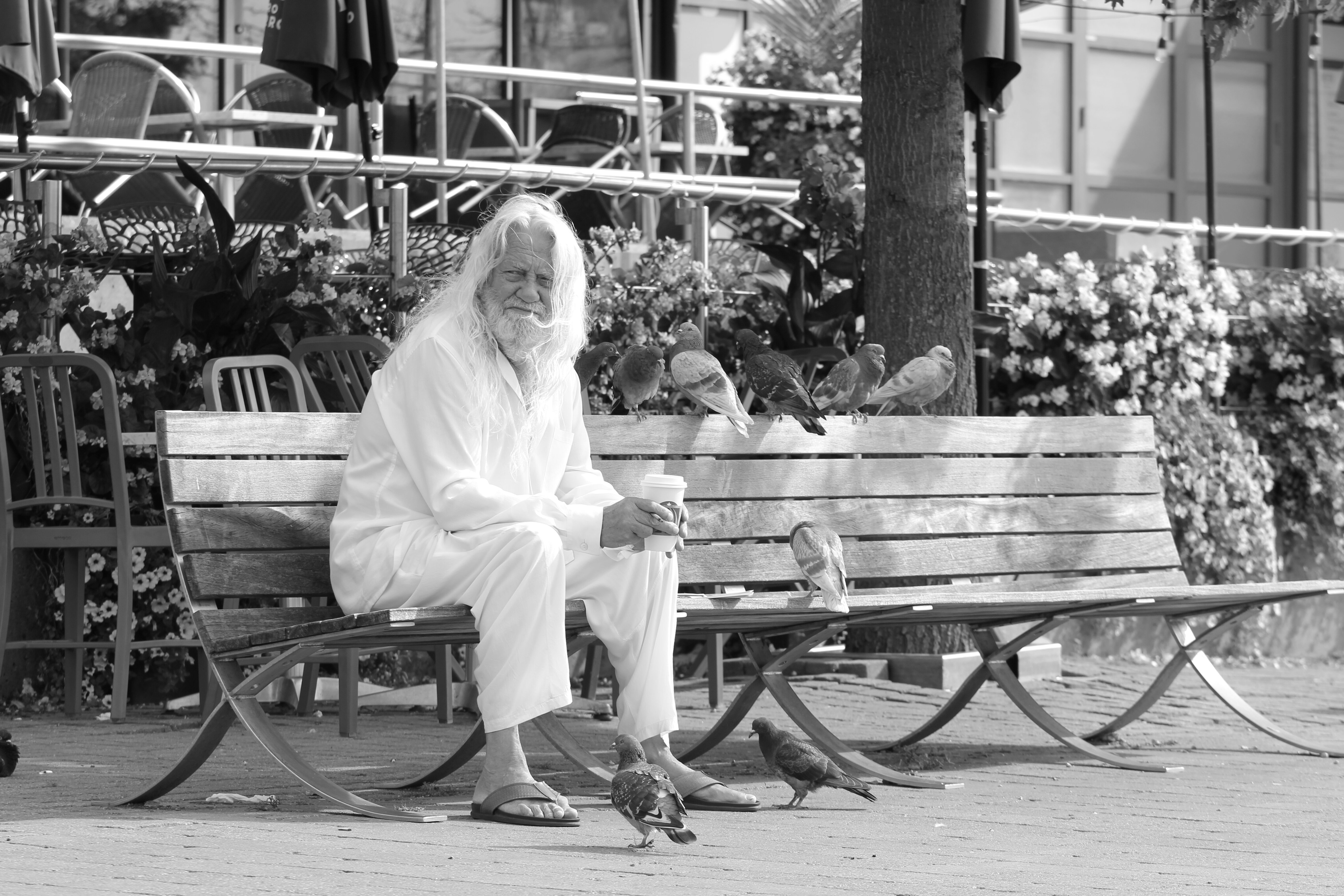 img_7277.jpeg img_7277.jpeg