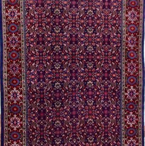 Extra fine lana cotone 