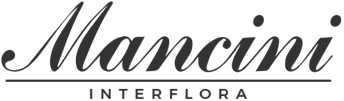 mancini