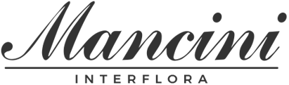 mancini