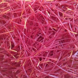 d679ae08-c341-447e-ae84-5a773c9b20ef d679ae08-c341-447e-ae84-5a773c9b20ef