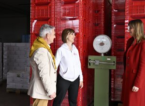 Visita in oleificio_Le strade del gusto