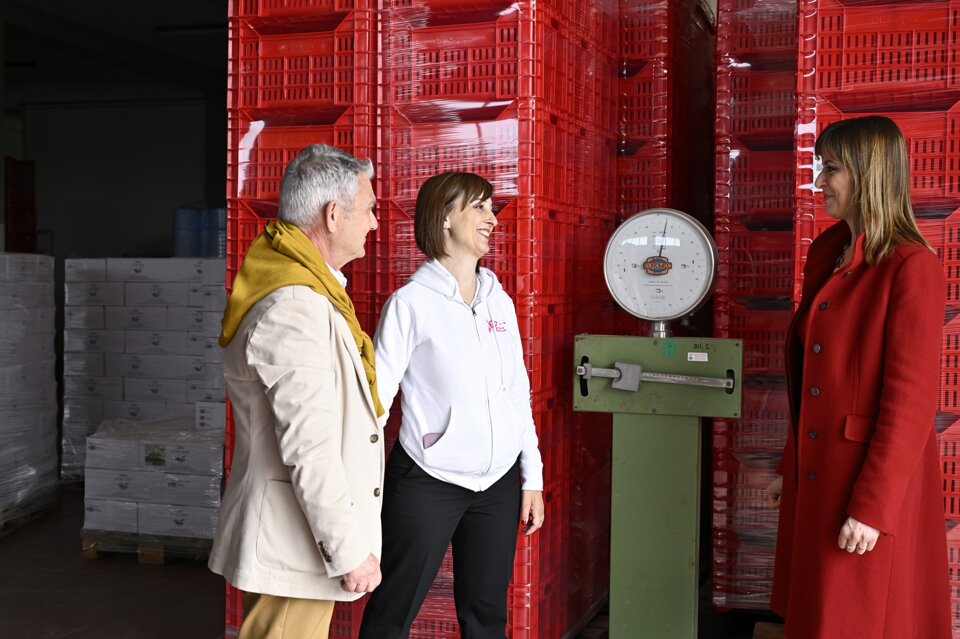 Visita in oleificio Visita in oleificio