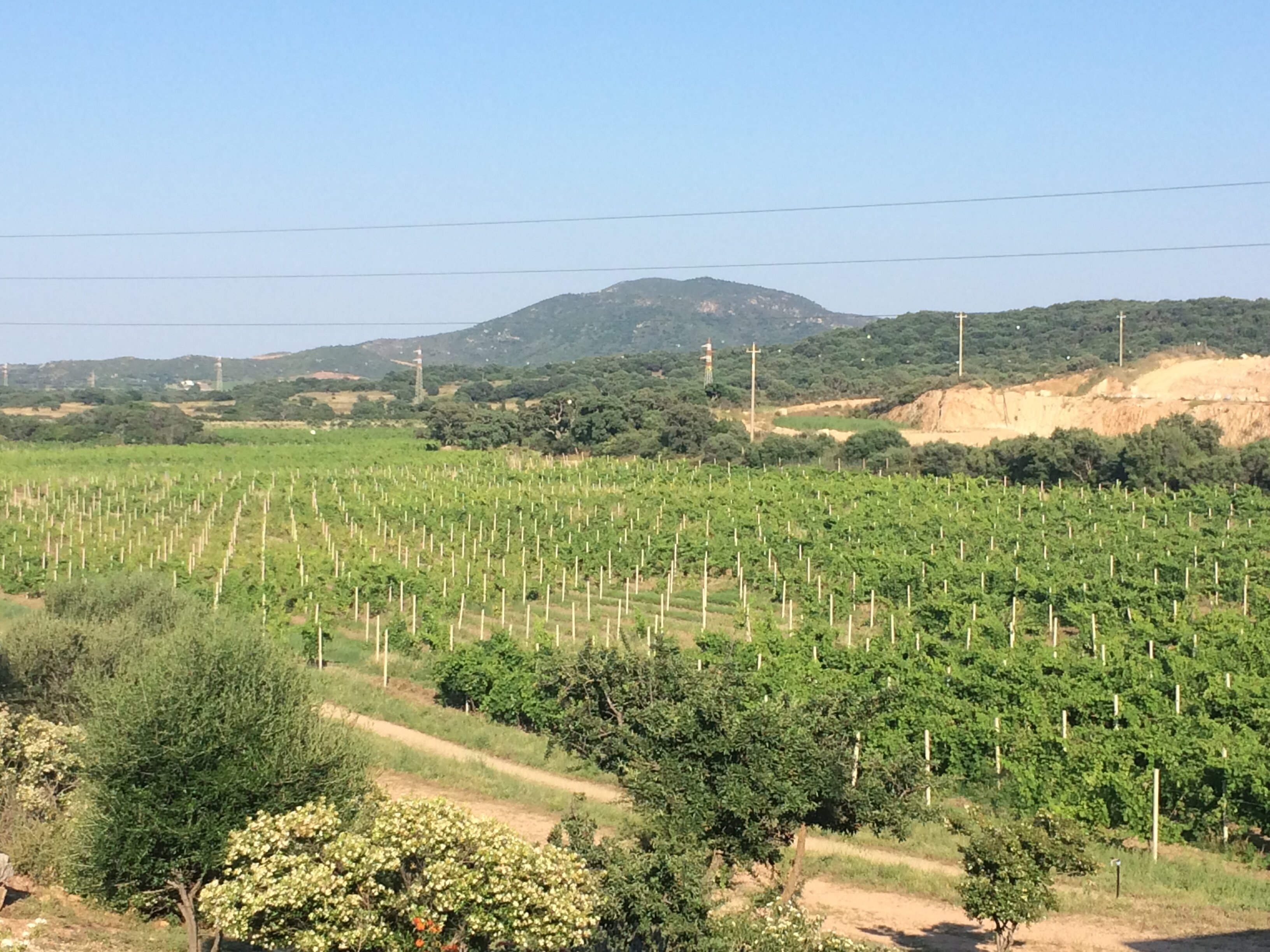 Il turismo e la sostenibilit&agrave;