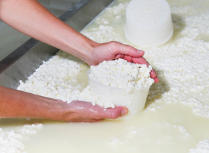 Local Producers and Sardinian Food Traditions