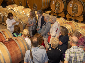 Le strade del gusto_esperienze enogastronomiche Le strade del gusto_esperienze enogastronomiche