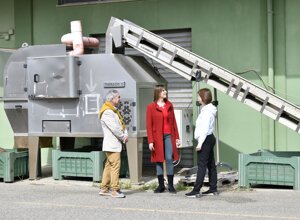 Visita in oleificio_Le strade del gusto