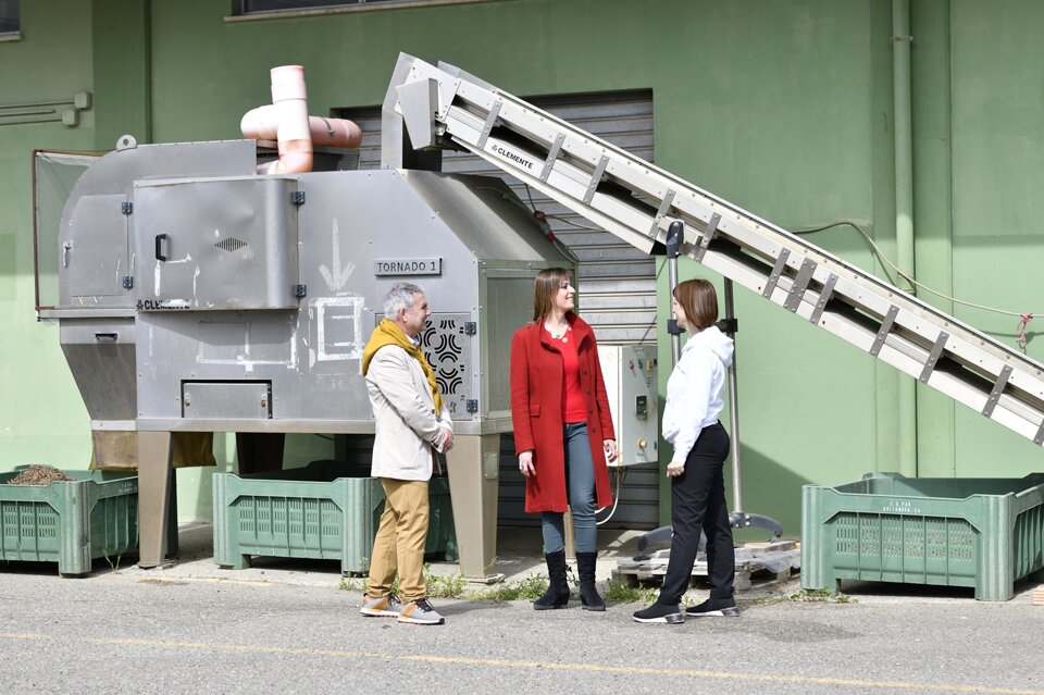 Visita in oleificio Visita in oleificio