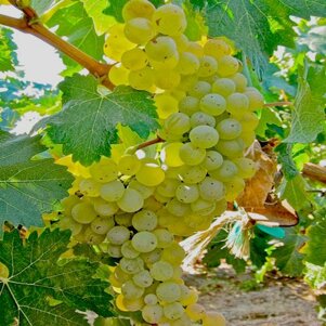 4b15baa4-0462-48db-96cf-1d2487a63ab8