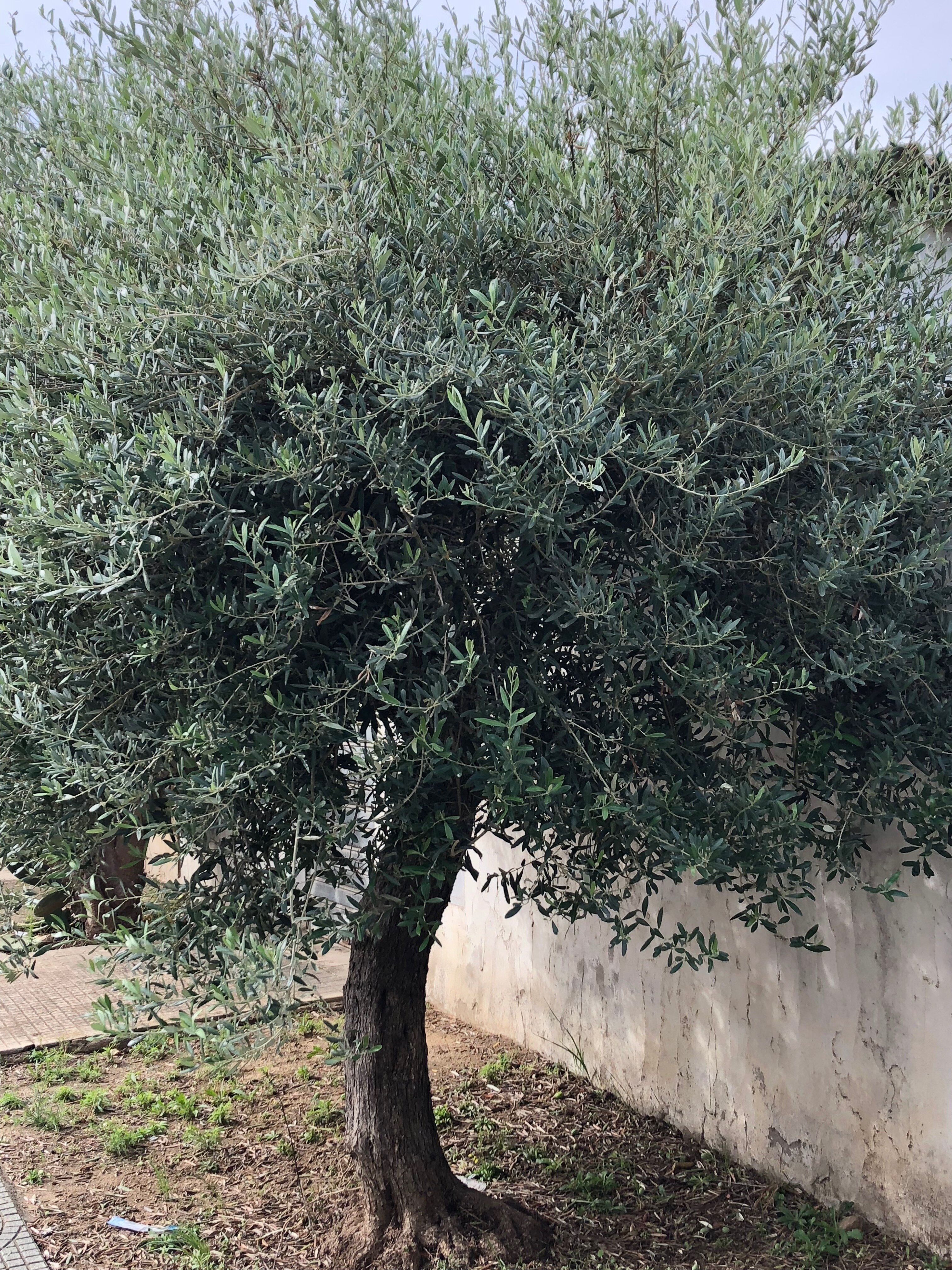 fe92e812-6c3c-4b3a-9569-c15d6dc76e3c.jpg fe92e812-6c3c-4b3a-9569-c15d6dc76e3c.jpg