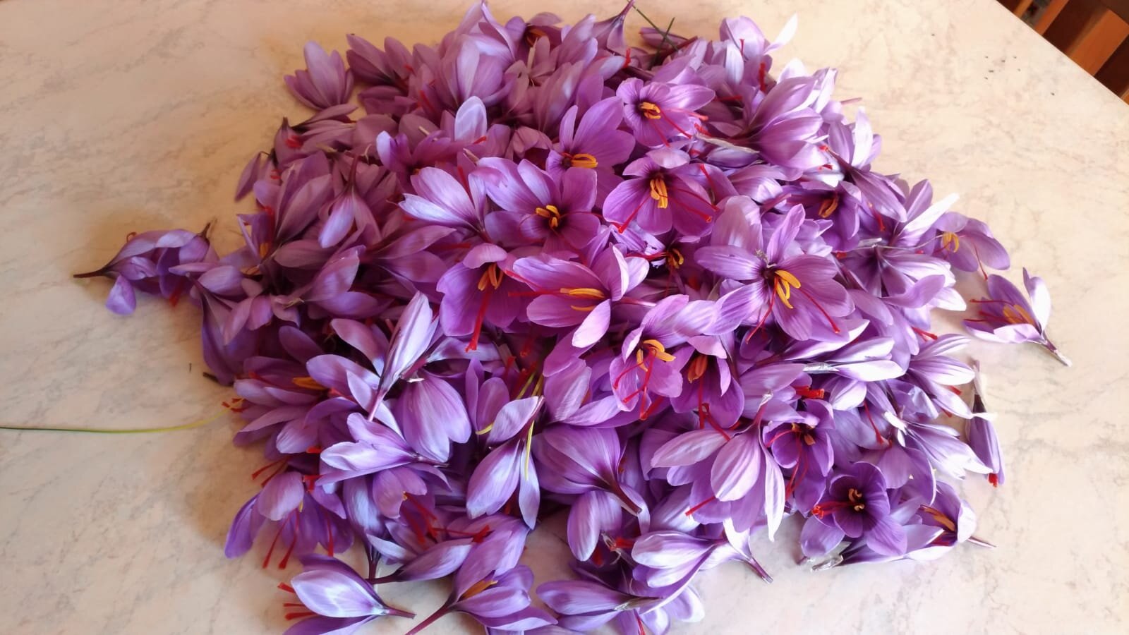 I prodotti sardi certificati DOP e IGP