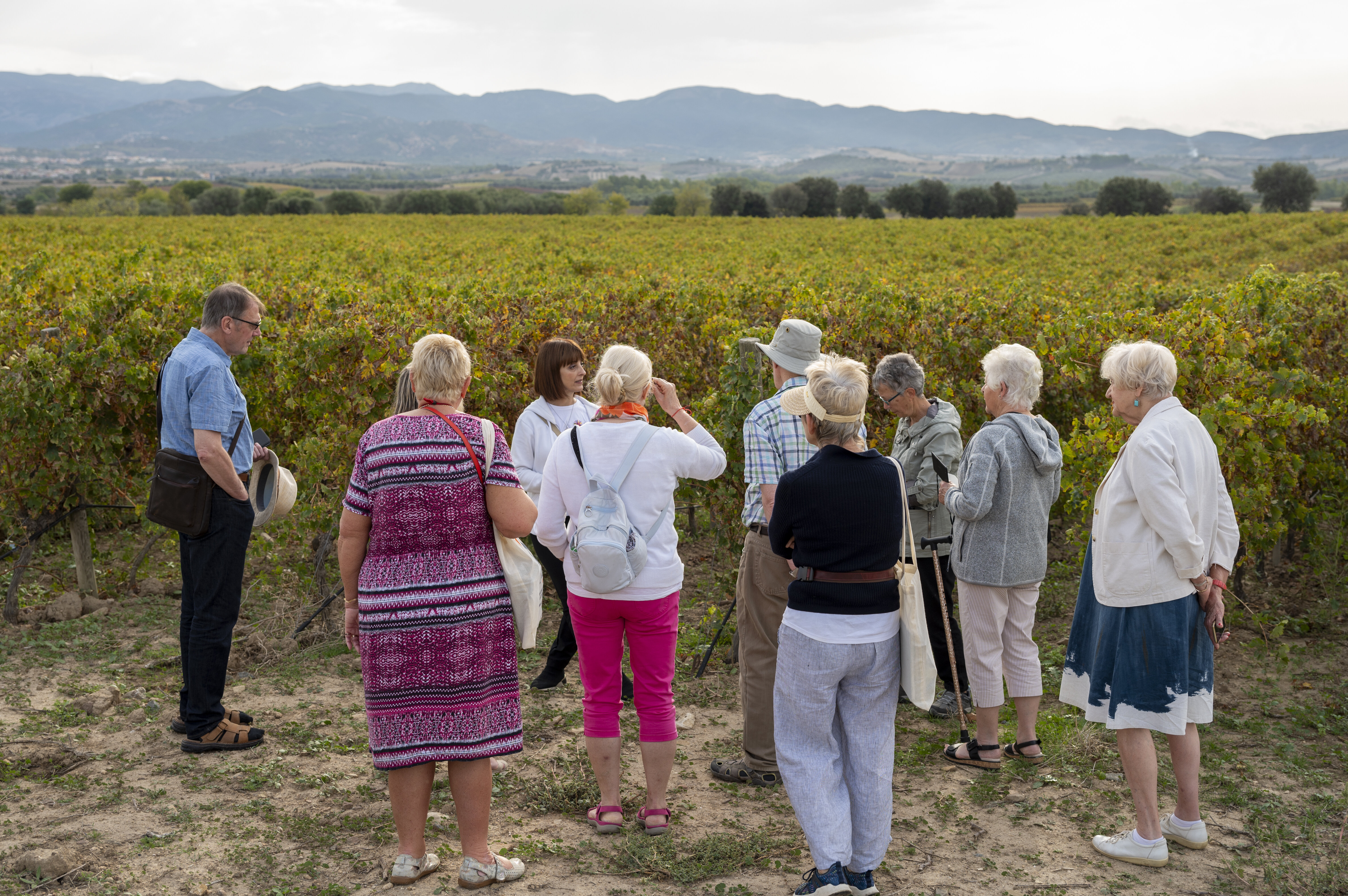 Le Strade del Gusto – esperienze enogastronomiche a Cagliari