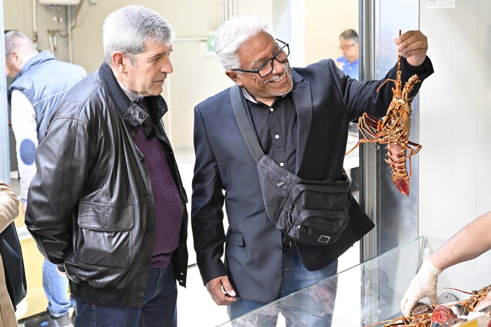 Tour al Mercato di San Benedetto Tour al Mercato di San Benedetto