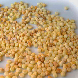 Le strade del gusto_La pasta Le strade del gusto_La pasta