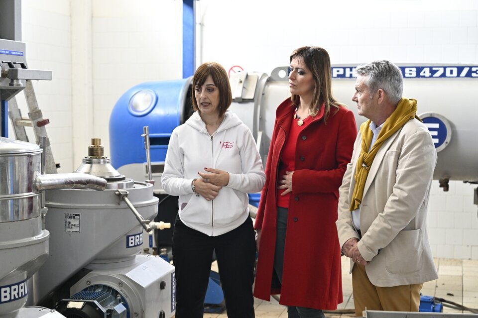 Visita in oleificio Visita in oleificio