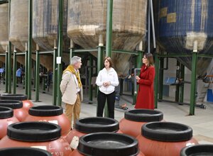 Visita in oleificio_Le strade del gusto