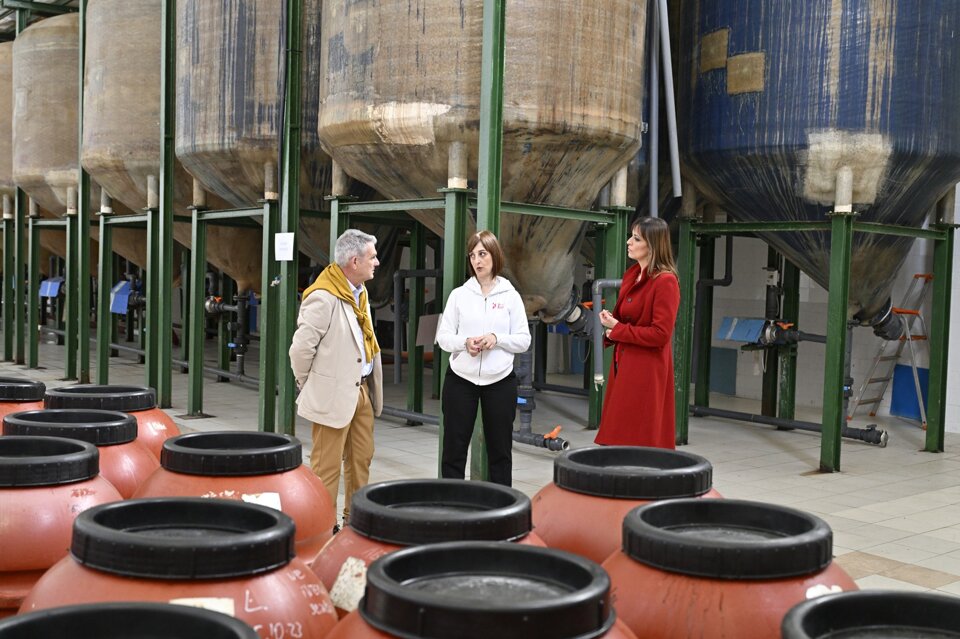 Visita in oleificio Visita in oleificio