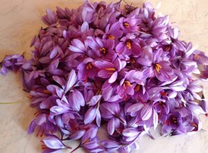 Le strade del gusto_La gastronomia Le strade del gusto_La gastronomia