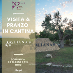 visita-pranzo-alla-tenuta-olianas