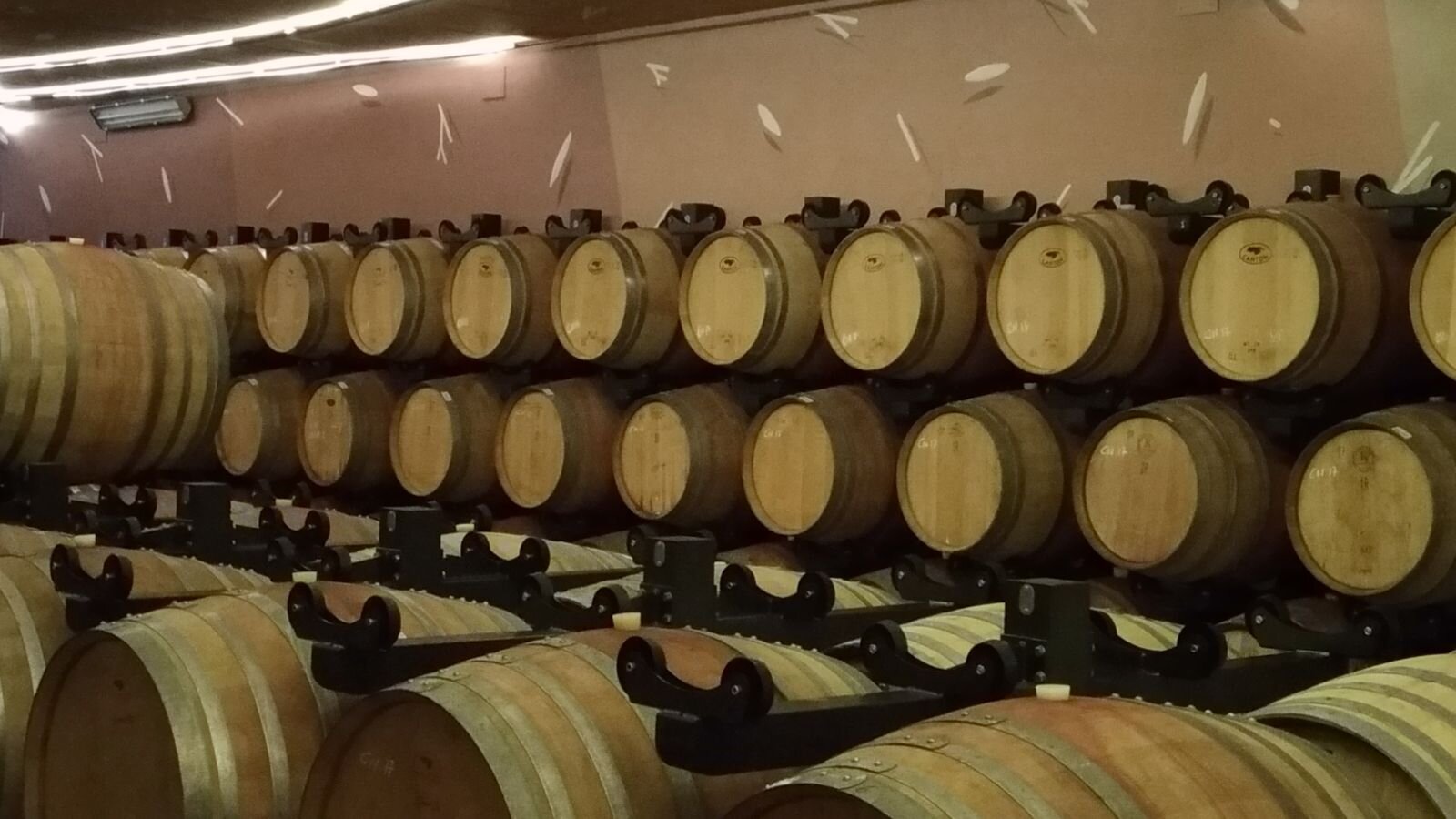 73e99af1-c4e2-4e80-9b74-458cdb535f7c.jpg 73e99af1-c4e2-4e80-9b74-458cdb535f7c.jpg