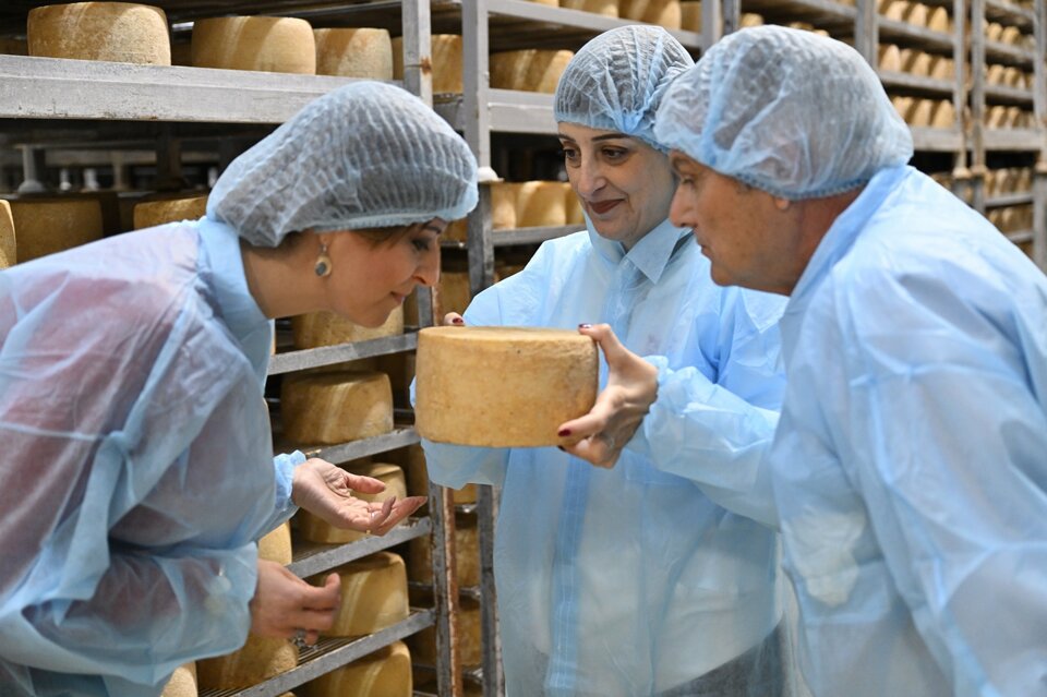 Visita in caseificio