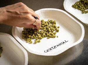 visita%20in%20birrificio_le%20strade%20del%20gusto%20(26).jpeg