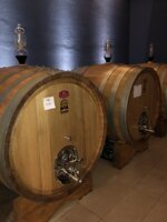 visita-cantina-agricola-soi-evento