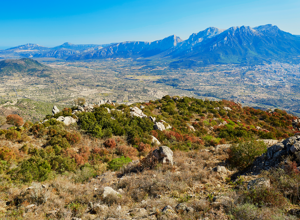 Sardinia Landscapes and Authentic Food Traditions