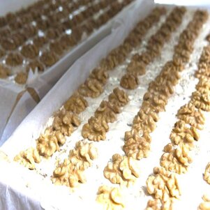 9c716a40-8e02-402c-b8c1-3c4978fffa63