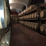 visita-di-una-cantina-con-sommelier