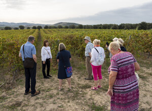 eyJpdCI6IlZpc2l0YSBpbiBjYW50aW5hIGNvbiBTb21tZWxpZXJfTGUgc3RyYWRlIGRlbCBndXN0byAiLCJlbiI6IldpbmVyeSB0b3VyIHdpdGggU29tbWVsaWVyX0xlIHN0cmFkZSBkZWwgZ3VzdG8gIiwiZnIiOiJWaXNpdGUgZ3VpZOllIGQndW5lIGNhdmUgYXZlYyBzb21tZWxpZXJfTGUgc3RyYWRlIGRlbCBndXN0byJ9