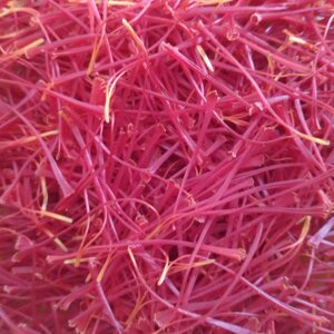 Le strade del gusto_Lo zafferano