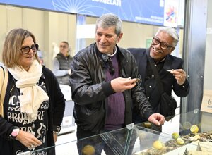 eyJpdCI6IlZpc2l0YSBhbCBtZXJjYXRvX0xlIHN0cmFkZSBkZWwgZ3VzdG8iLCJlbiI6Ik5ldyBTYW4gQmVuZWRldHRvJ3MgTWFya2V0IHRvdXJfTGUgc3RyYWRlIGRlbCBndXN0byIsImZyIjoiVmlzaXRlIGR1IG5vdXZlYXUgbWFyY2jpIGRlIFNhbiBCZW5lZGV0dG9fTGUgc3RyYWRlIGRlbCBndXN0byJ9 eyJpdCI6IlZpc2l0YSBhbCBtZXJjYXRvX0xlIHN0cmFkZSBkZWwgZ3VzdG8iLCJlbiI6Ik5ldyBTYW4gQmVuZWRldHRvJ3MgTWFya2V0IHRvdXJfTGUgc3RyYWRlIGRlbCBndXN0byIsImZyIjoiVmlzaXRlIGR1IG5vdXZlYXUgbWFyY2jpIGRlIFNhbiBCZW5lZGV0dG9fTGUgc3RyYWRlIGRlbCBndXN0byJ9