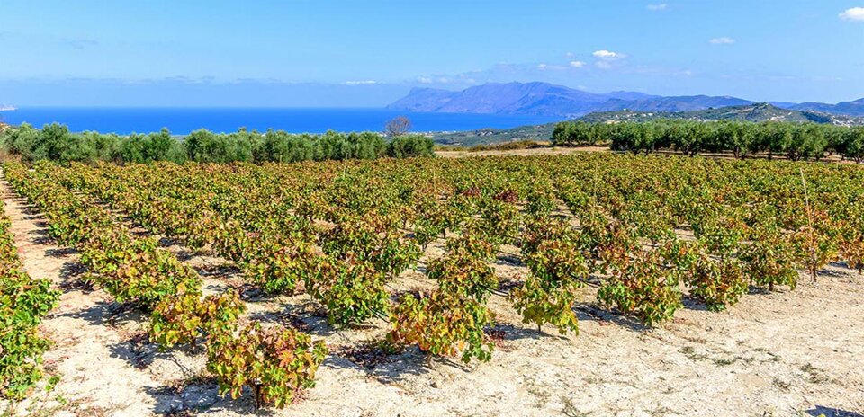 0cd51972-68ee-447c-a0ed-977e2381f364