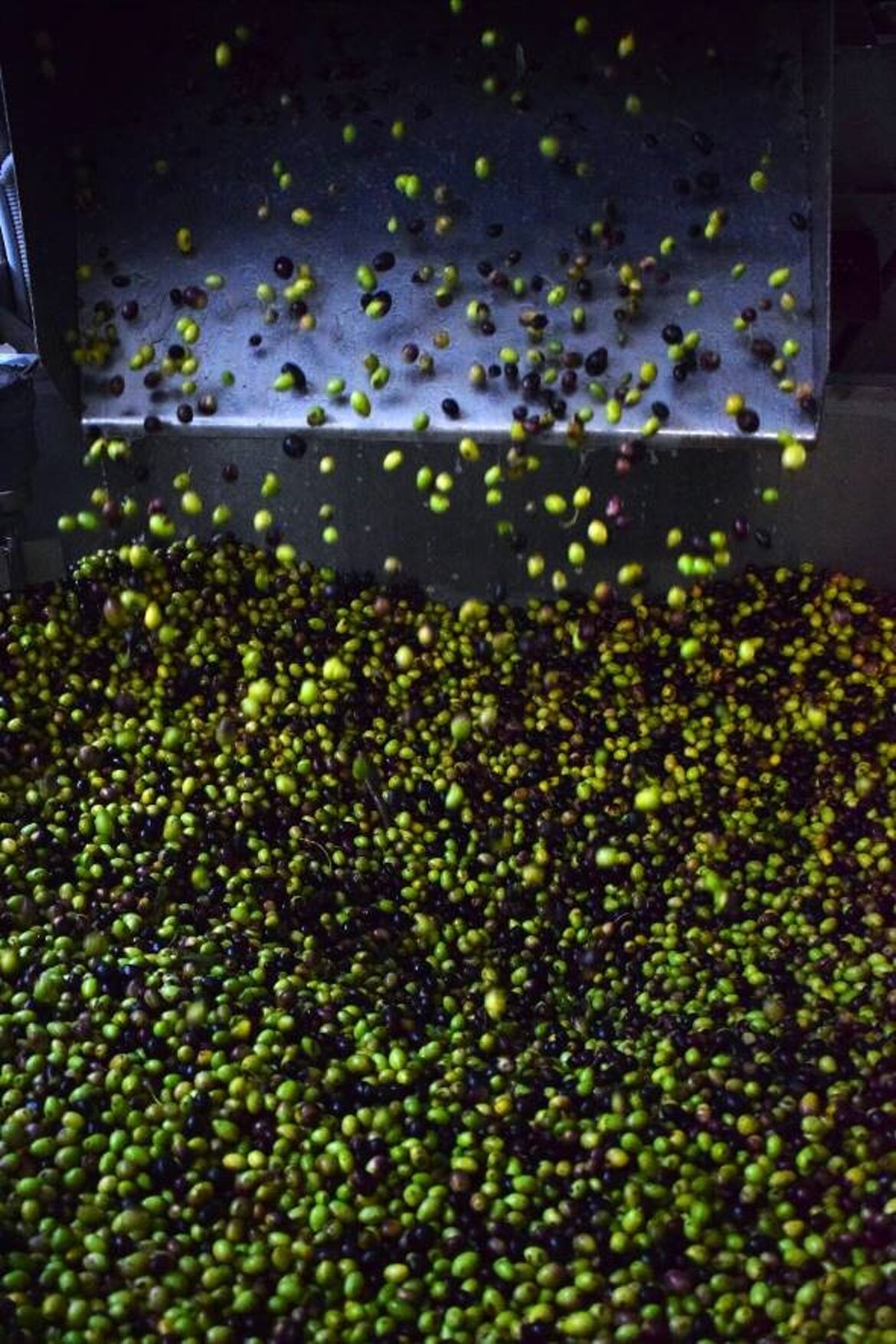 bdf32364-b899-44cf-9b8b-63370118aa4b