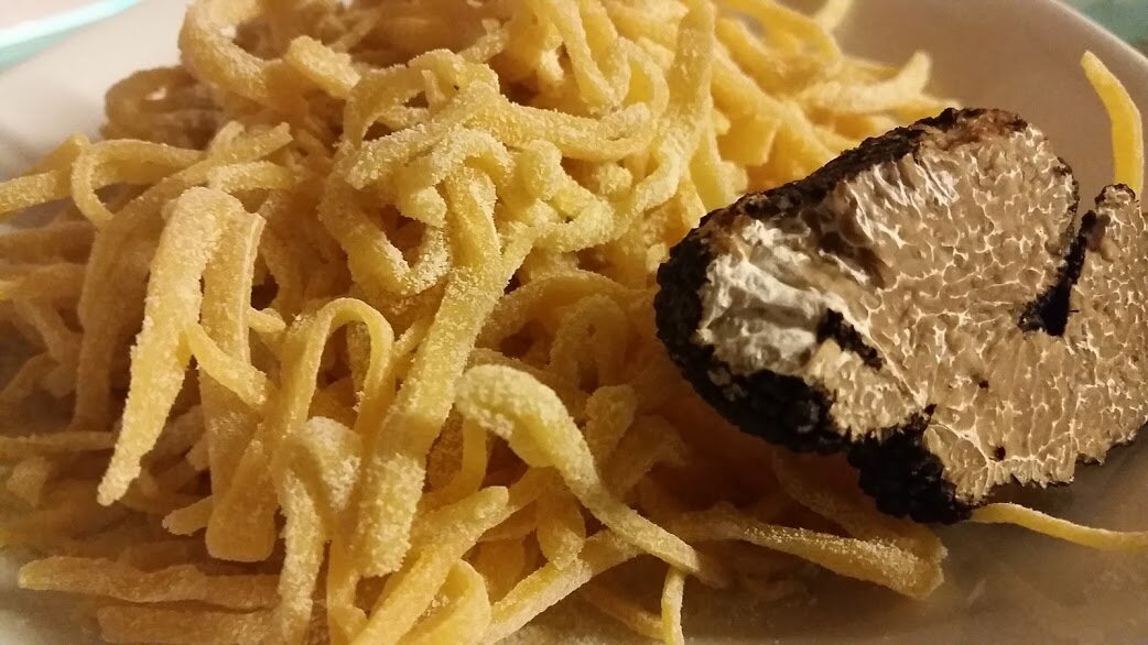 35db0c0b-a61a-4006-bed4-b8a3af016795 35db0c0b-a61a-4006-bed4-b8a3af016795