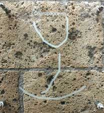 49c0a7b2-d38e-4292-9970-a7431cb606ed