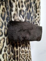 pelliccia-di-ocelotgattopardo