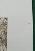 rosalia-casalini-riposo-sotto-il-porticato