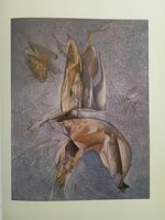 salvatore-provino-tracce-e-memoria-dellimmagine