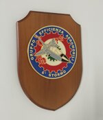 crest-6-stormo-gruppo-efficienza-aeromobili