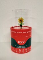 wd-lifestyle-bicchiere-con-girasole