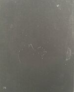 breraarte-catalogo-asta-1986