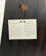 icona-panagia-pantanassa