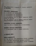 remo-guglielmo-pozzaglio-senza-titolo