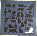 angelo-barcella-gatti-frassa-foulard