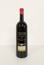 clivus-soave-classico-2009-grappolo-doro