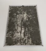 gatto-silvestro-lavagna-metallo