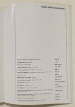 domenico-ghidoni-abenispiazzibianchi